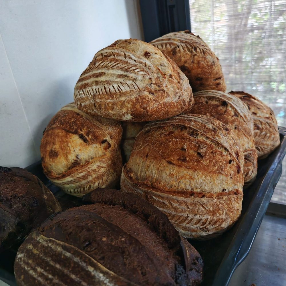 ขนมปังซาวโดว์อบสดจากเตา / Freshly baked sourdough loaves